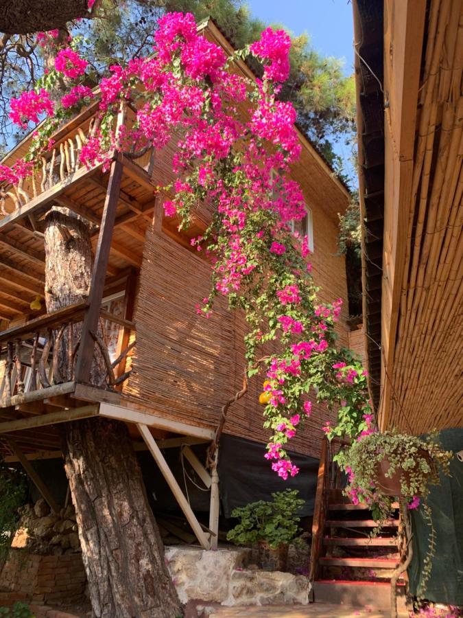 Large Bungalow With Sea View In Kabak Bay, Oeluedeniz Fethiye Ngoại thất bức ảnh