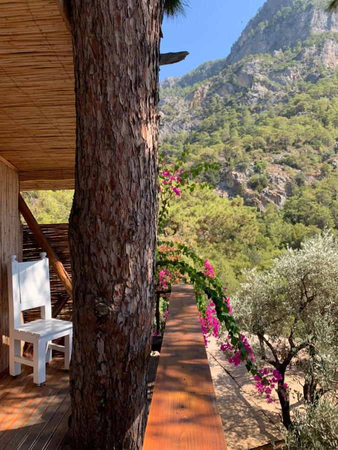 Large Bungalow With Sea View In Kabak Bay, Oeluedeniz Fethiye Ngoại thất bức ảnh